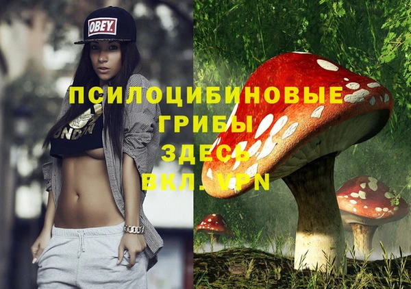 прущий лед Белоозёрский