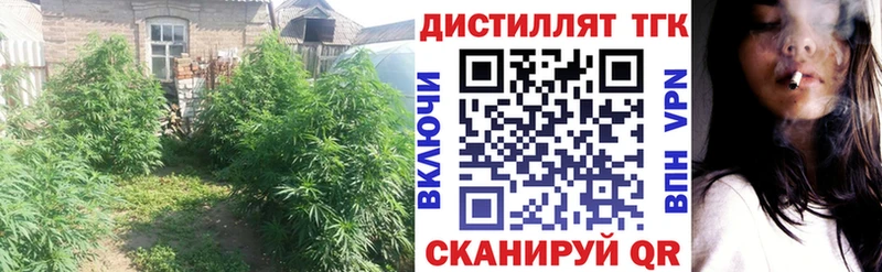 купить закладку  Велиж  Дистиллят ТГК THC oil 